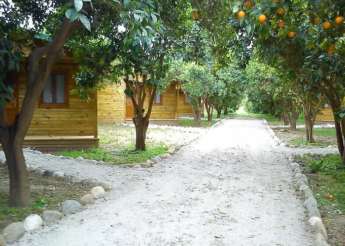 Yesil Bahce Bungalow - Ahsap Evler