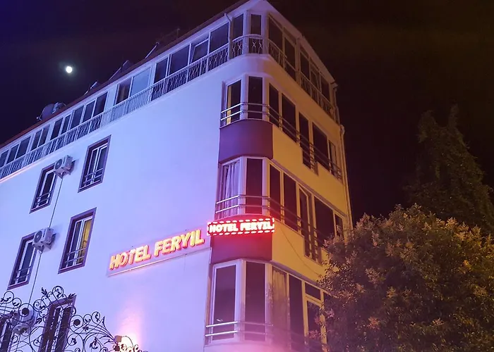 Feryil Li̇Man