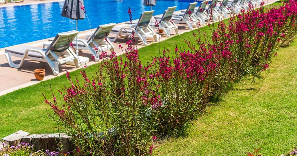 Likya Garden Apartment Fethiye