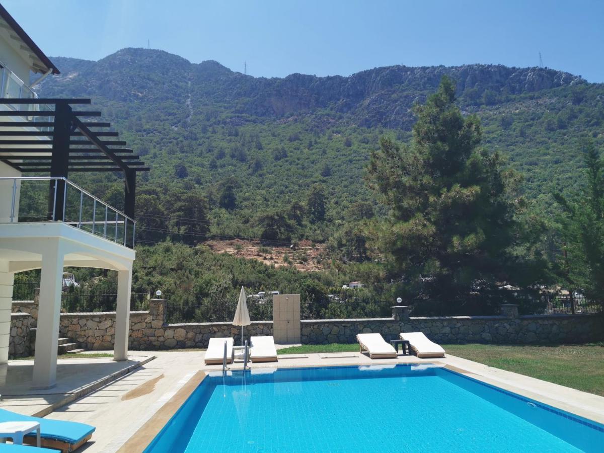 Ladywell * Fethiye