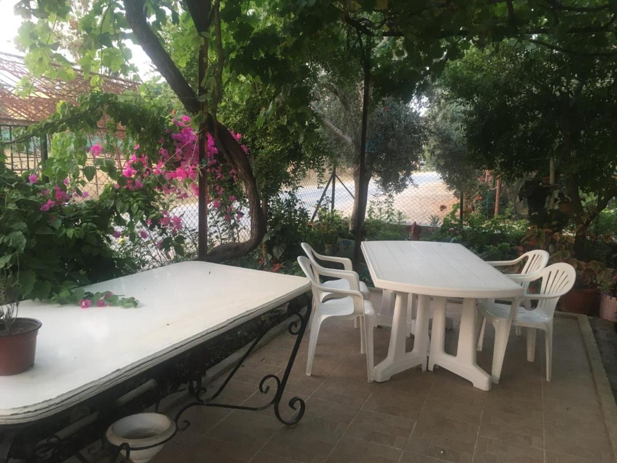 Holiday home Begonvil 1 *