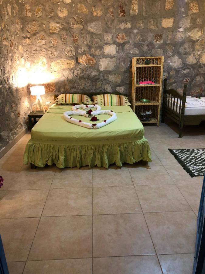 Bed & Breakfast Zirkon Doga Butik *