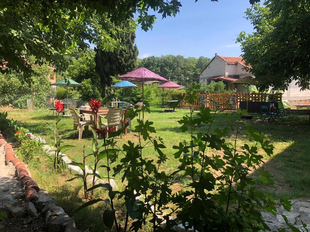 Bed & Breakfast Zirkon Doga Butik *