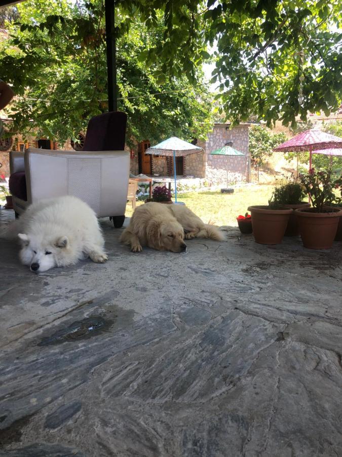 Zirkon Doga Butik Bed & Breakfast *