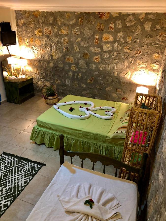 Bed & Breakfast Zirkon Doga Butik