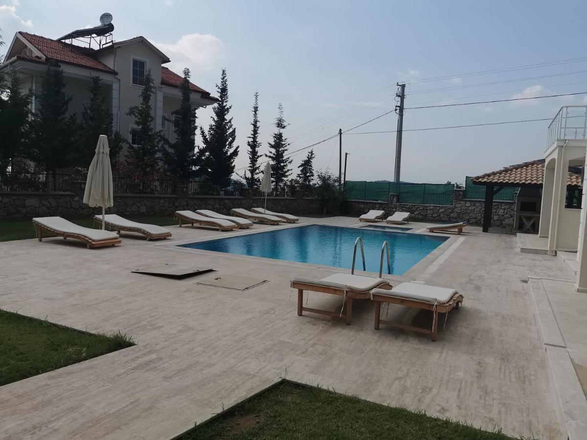 Holly * Fethiye