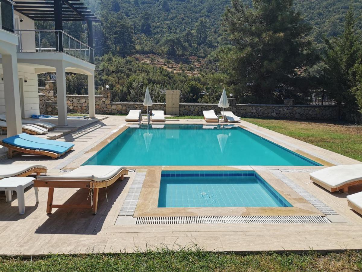 Villa Holly *