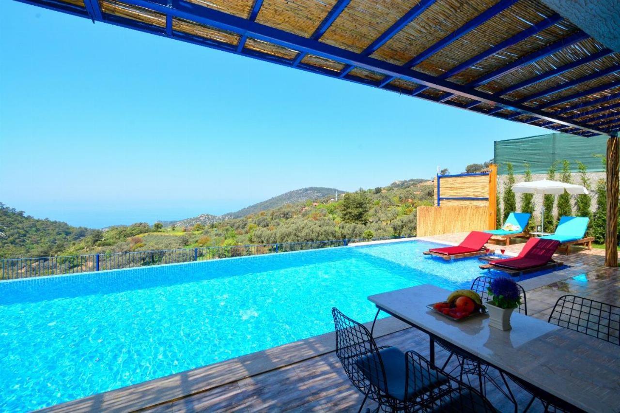Monte Villa