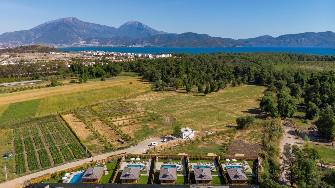 Cedrus 1-2-3-4-5 Villa *