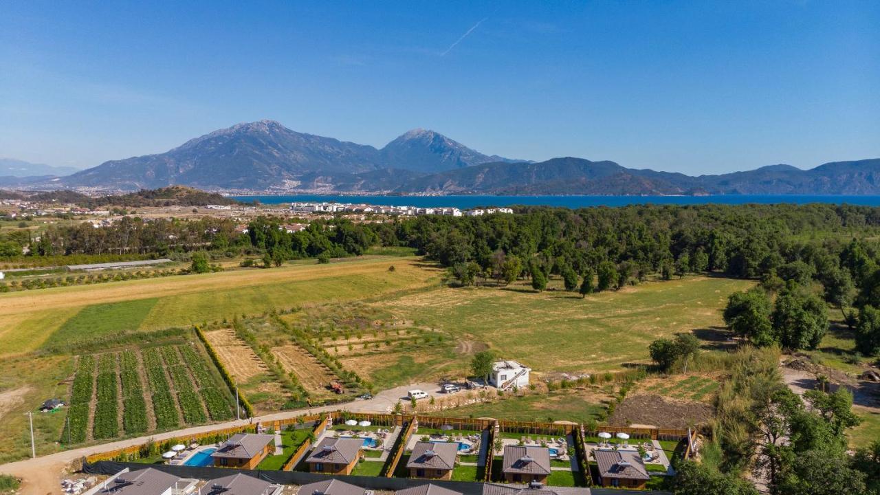 Cedrus 1-2-3-4-5 Villa *