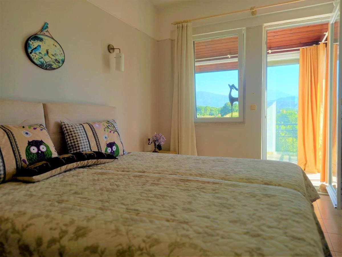 Sun Zuma Ja Daire Fethiye