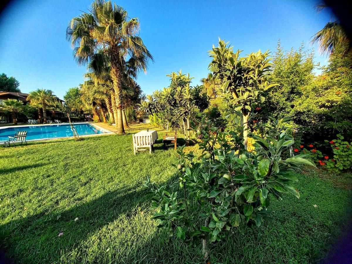 Sun Zuma Ja Fethiye