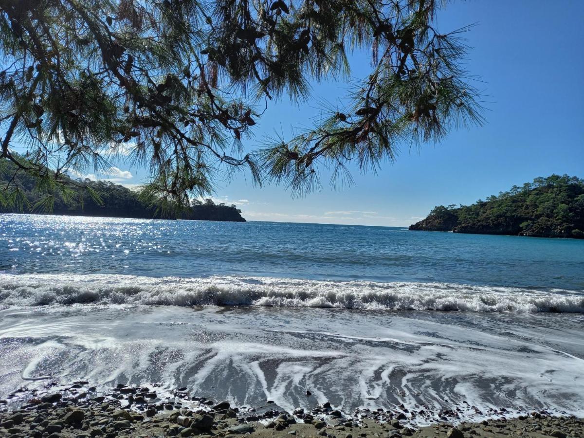 Sun Zuma Ja Daire Fethiye