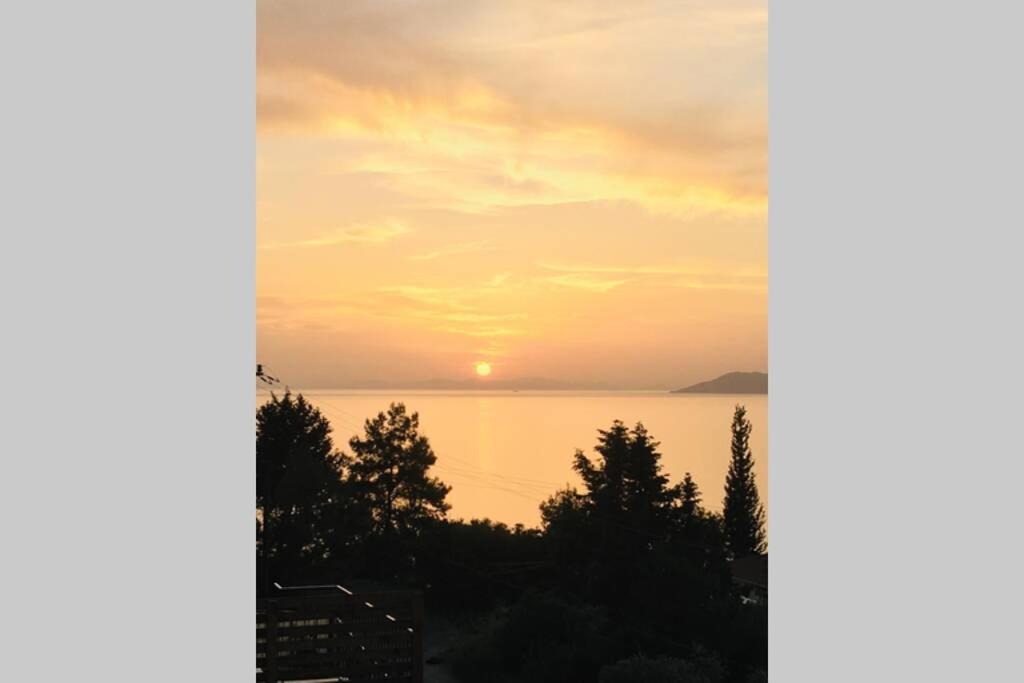 Rosy Sunset