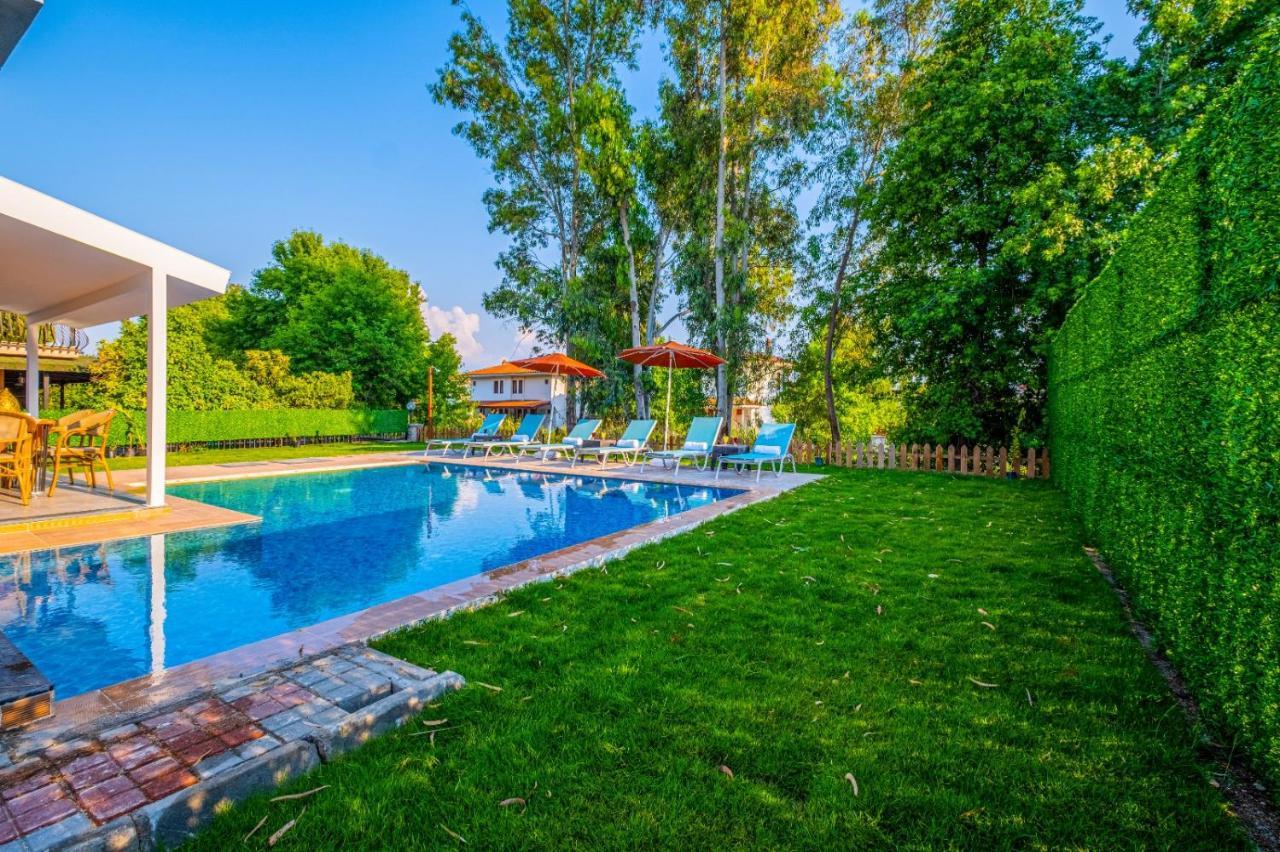 Infinity Lily 2 Fethiye