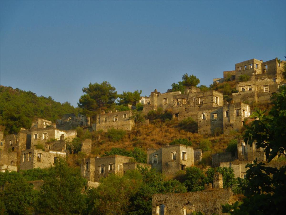 Sun Zuma Ja Fethiye