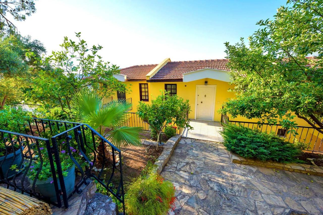 Bougainvillea Houses *