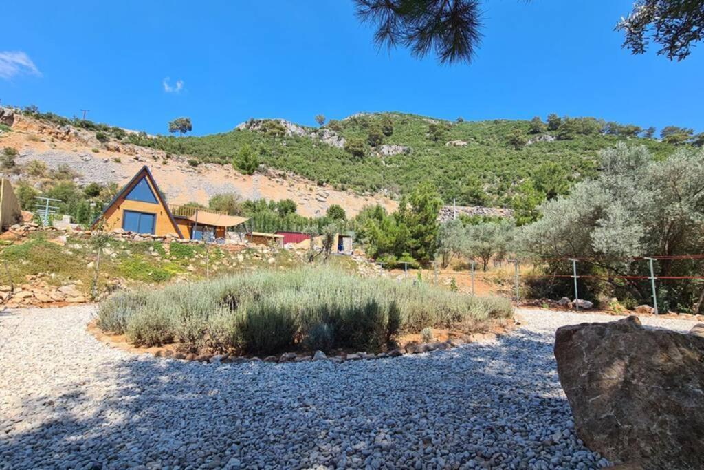 Ugni Blanc Uzum Baglari Ve Zeytinlikler Icinde Mini Bir Cennet Ve Tiny House Konseptli Havuzlu Ucgen Ev - крошечный дом - скрытый рай * Fethiye