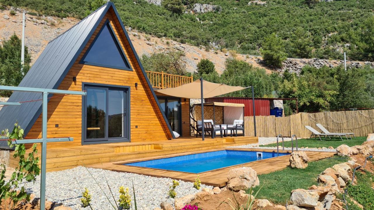 Ugni Blanc Uzum Baglari Ve Zeytinlikler Icinde Mini Bir Cennet Ve Tiny House Konseptli Havuzlu Ucgen Ev - крошечный дом - скрытый рай Holiday home *