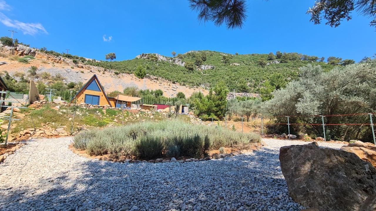 Ugni Blanc Uzum Baglari Ve Zeytinlikler Icinde Mini Bir Cennet Ve Tiny House Konseptli Havuzlu Ucgen Ev - крошечный дом - скрытый рай Fethiye