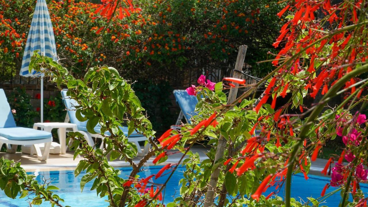 Yavuz * Fethiye