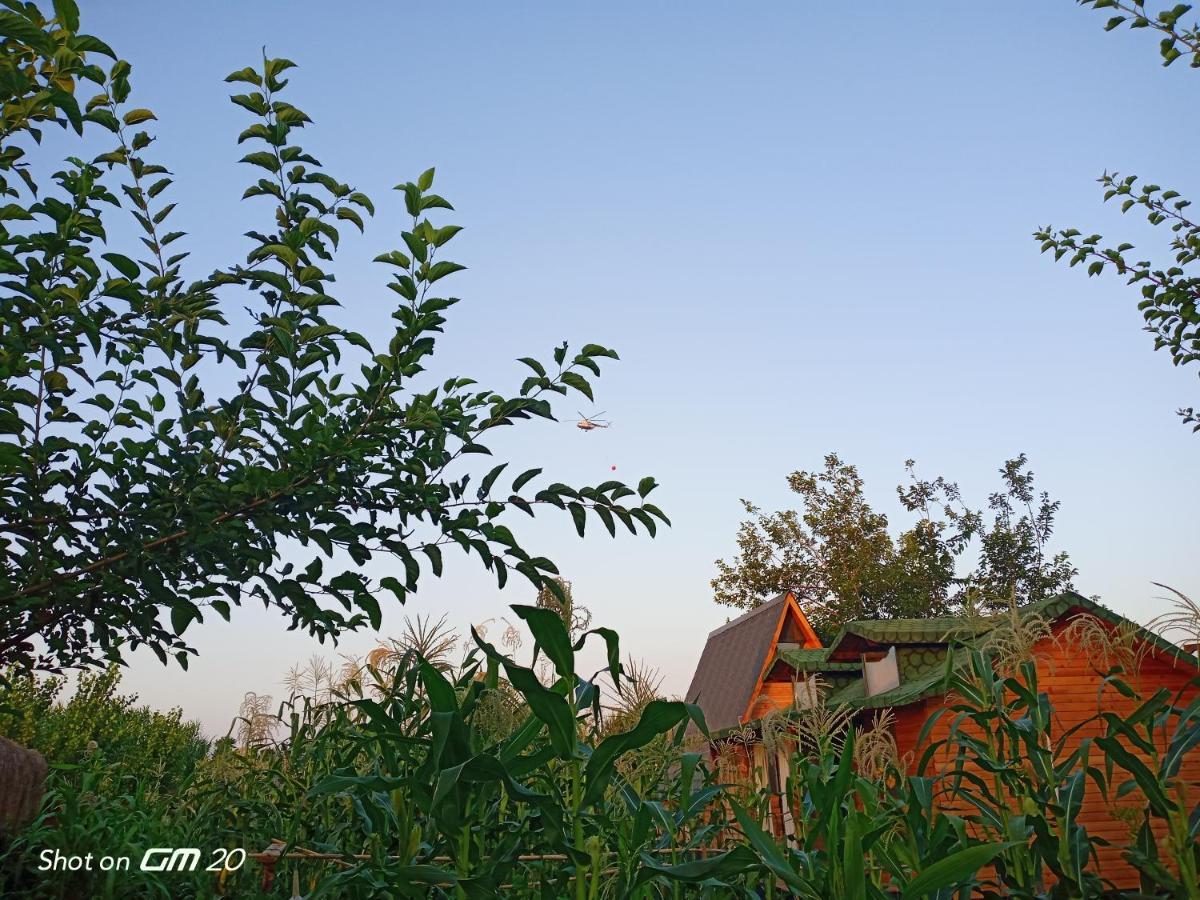 Telmessos Evi Fethiye