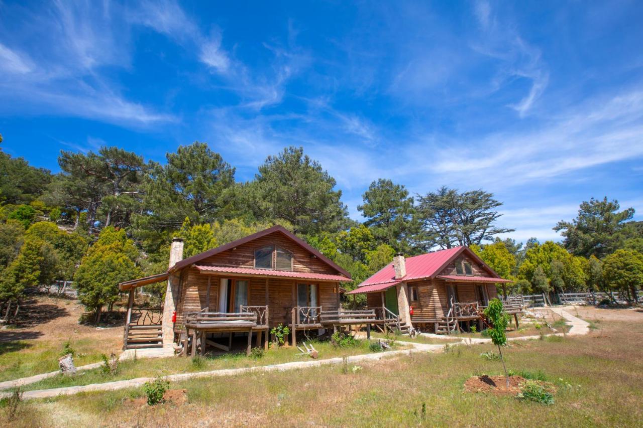 Babakamp Eco Ranch & Retreat Campsite