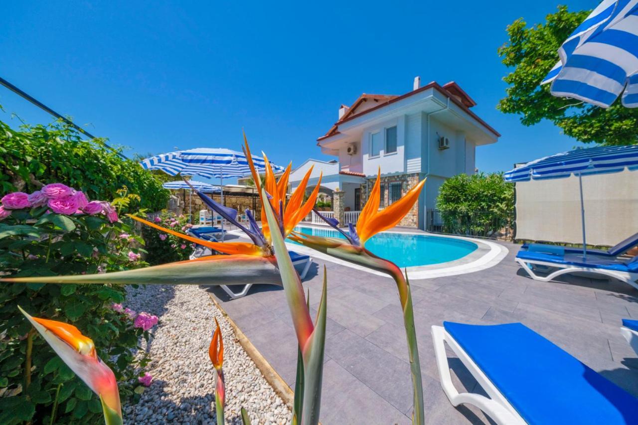 Villa Tatil Premium Baron *