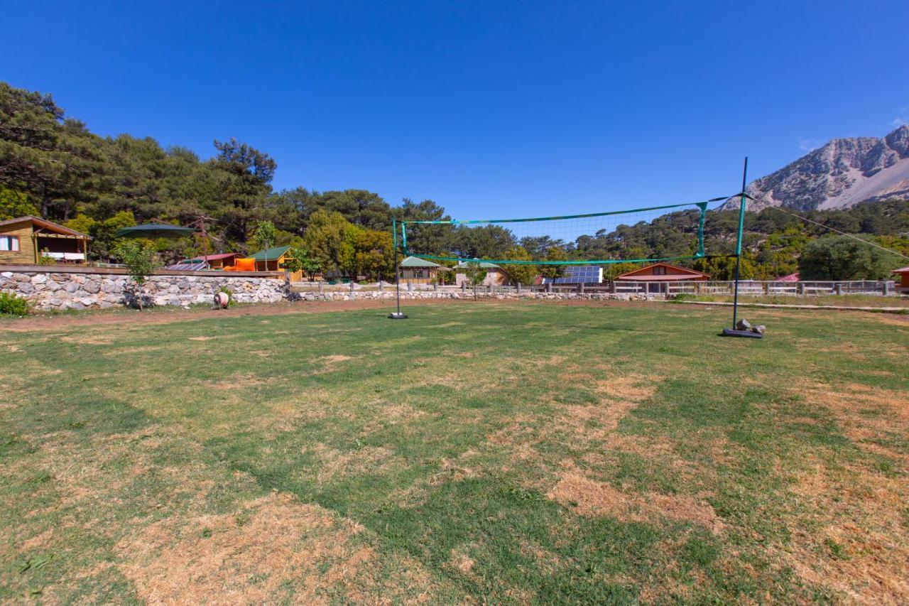 Babakamp Eco Ranch & Retreat