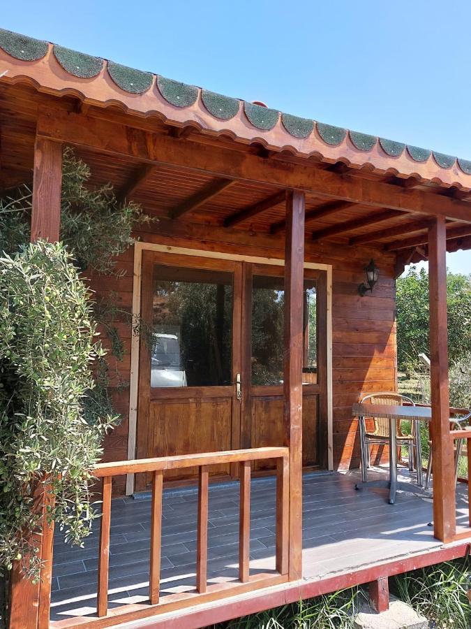 Holiday home Olive Garden Bungalow