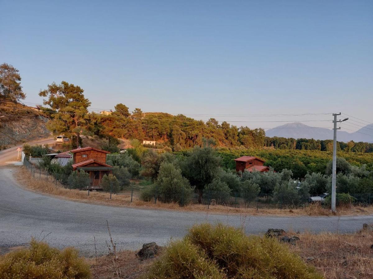 Holiday home Olive Garden Bungalow Fethiye