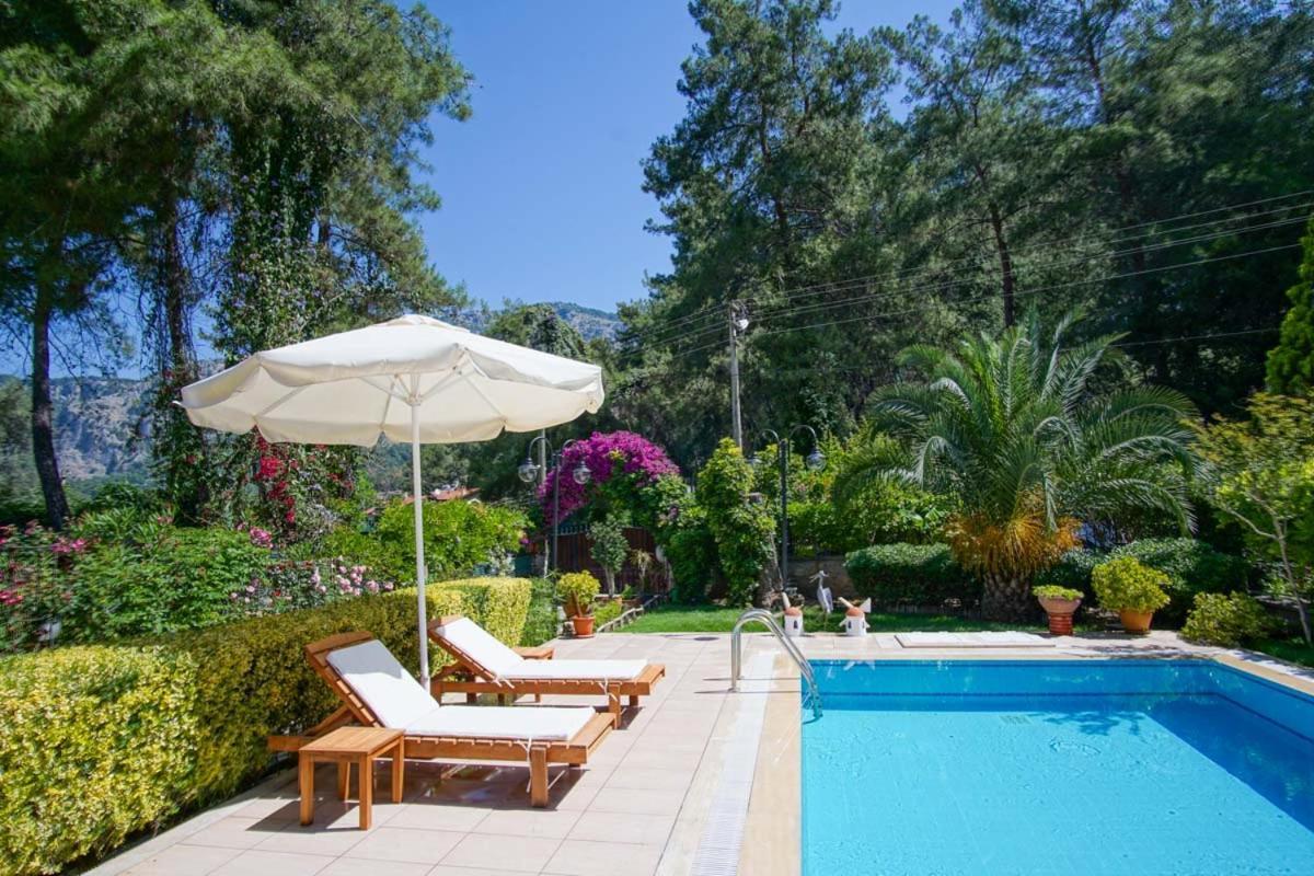 Dolphin1 Villa *