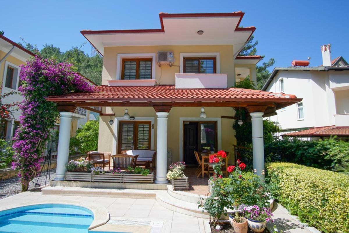 Dolphin1 Villa *
