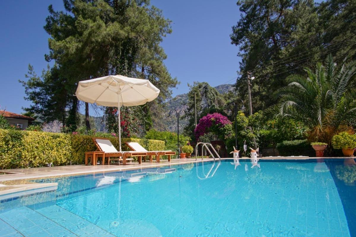 Dolphin1 Villa