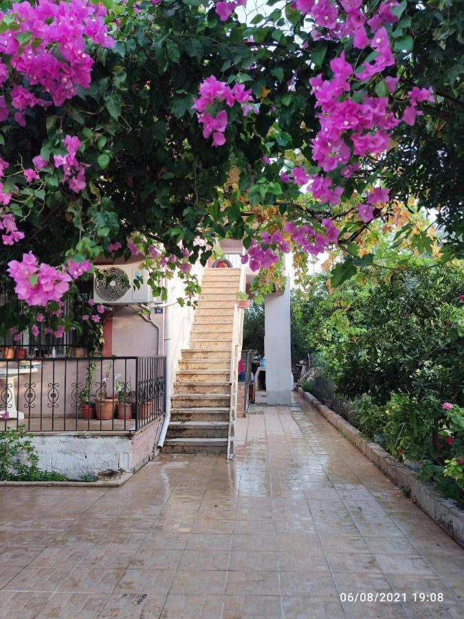 Holiday home Begonvil 1