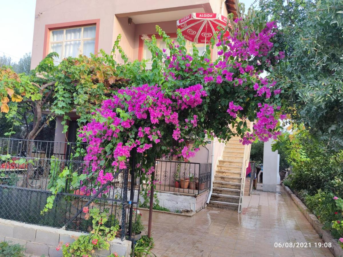 Begonvil 1 Fethiye