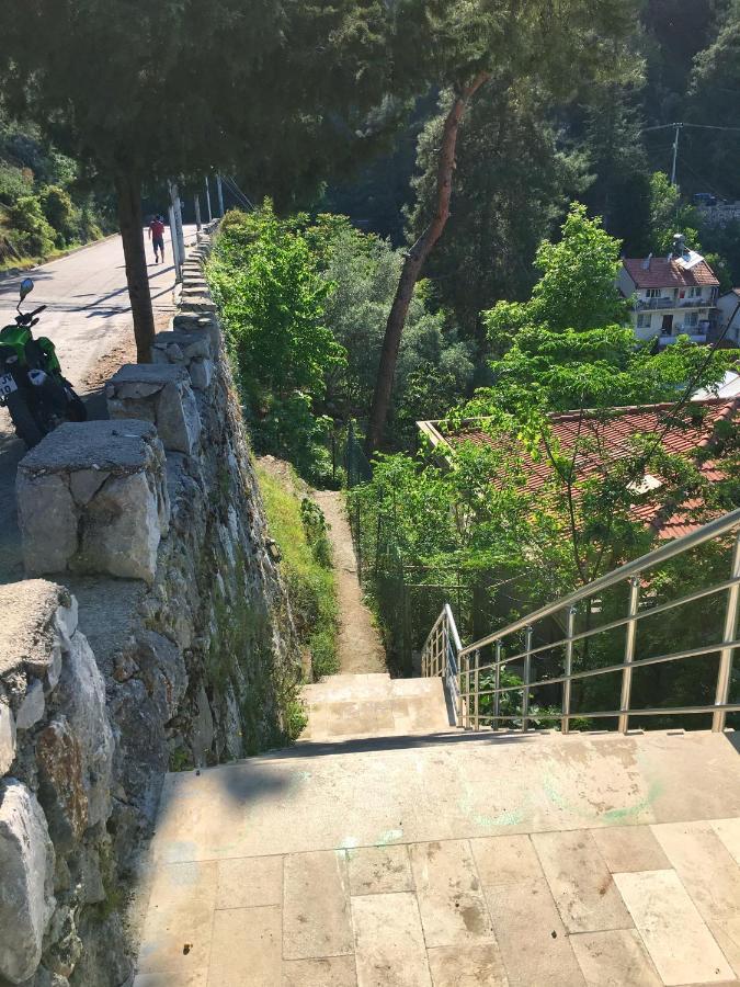 Dream View - Centre Appartement *