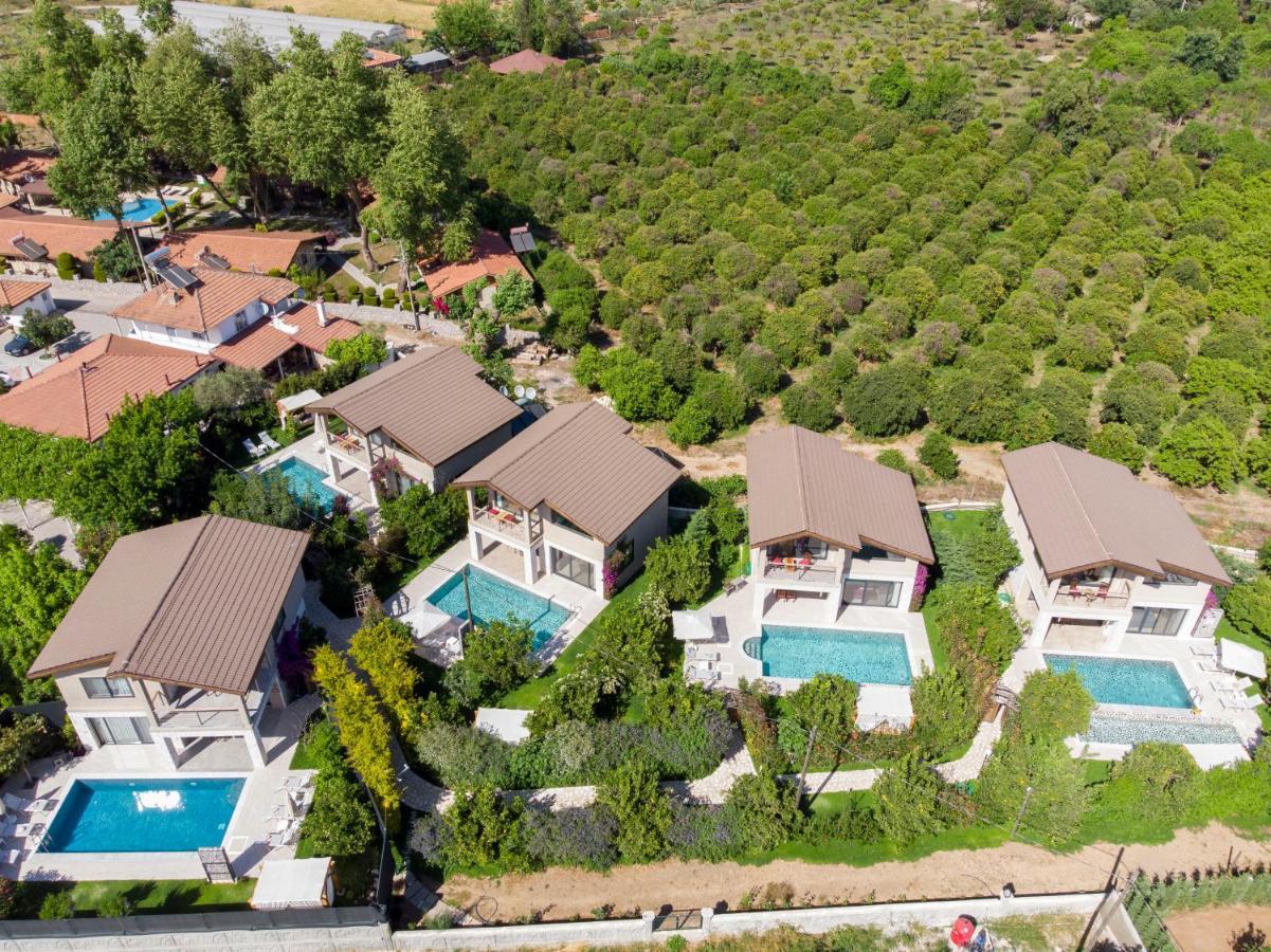 Villa Volans *