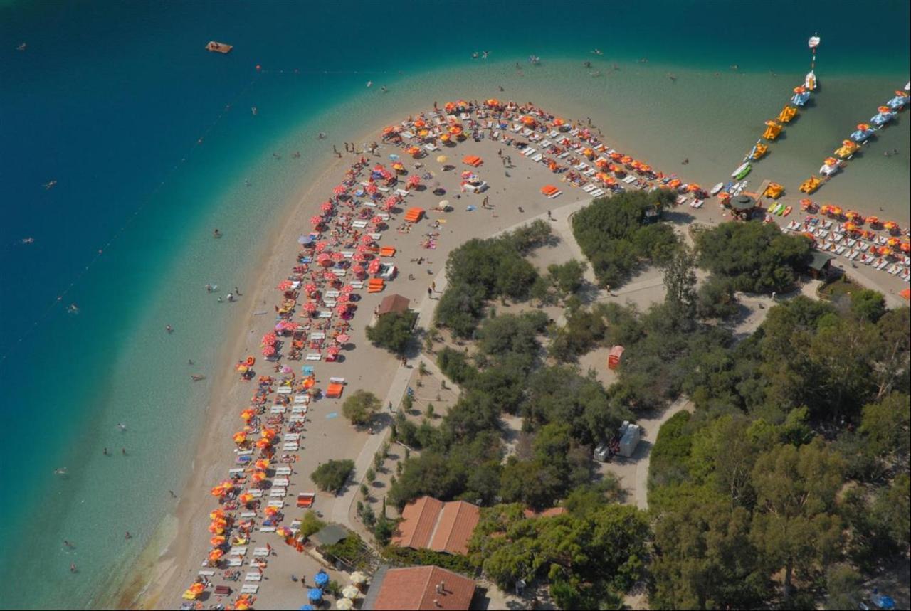 Villa Palm