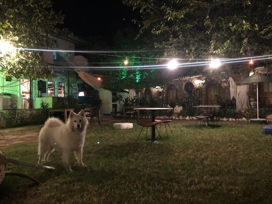 Bed & Breakfast Zirkon Doga Butik Fethiye