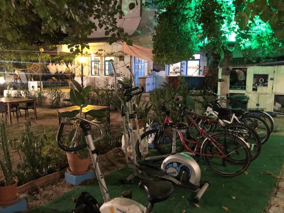 Zirkon Doga Butik Bed & Breakfast Fethiye