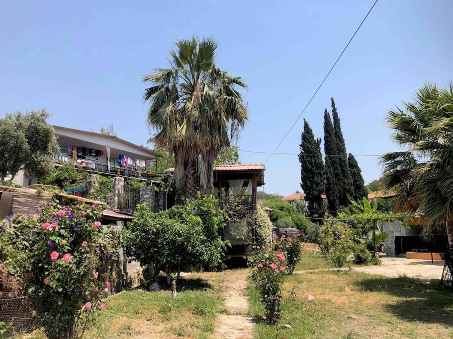 Zirkon Doğa Butik Fethiye