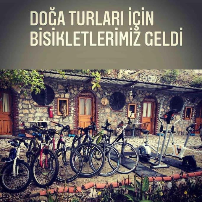 Zirkon Doğa Butik Frühstückspension