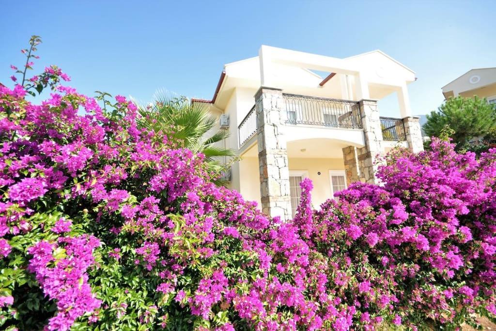 Villa Emerald In ölüdeniz Fethiye