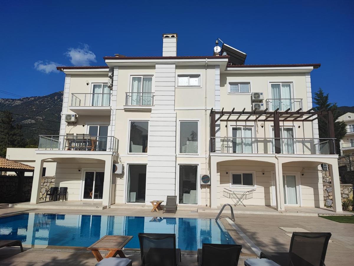 Villa Holly *