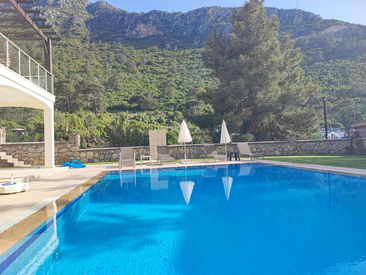 Villa Holly *