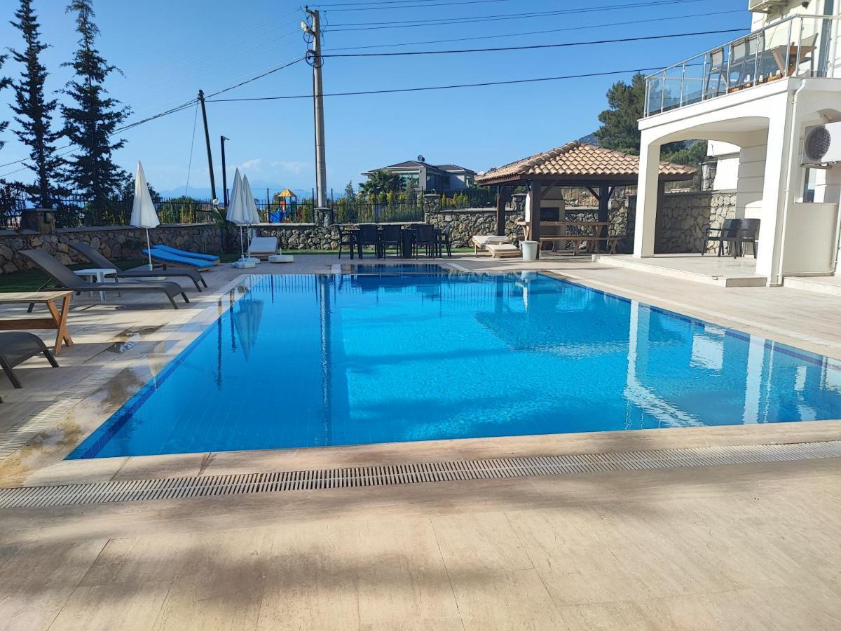Holly Villa *