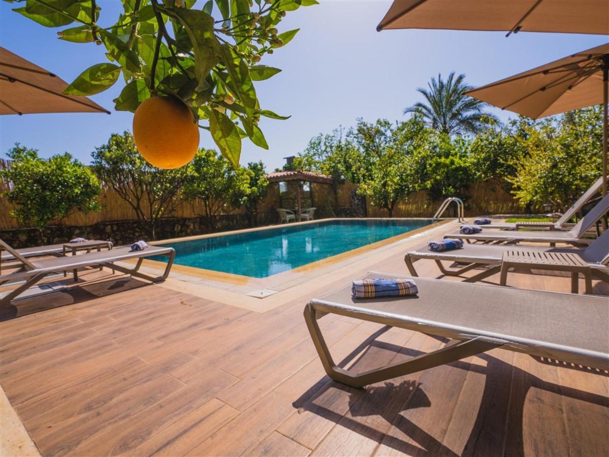 Villa - Tradational Greek In Kayakoy Fethiye