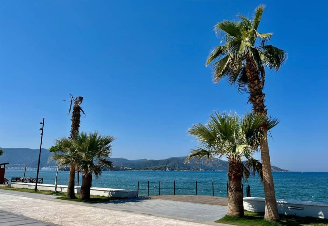 Villa Mir