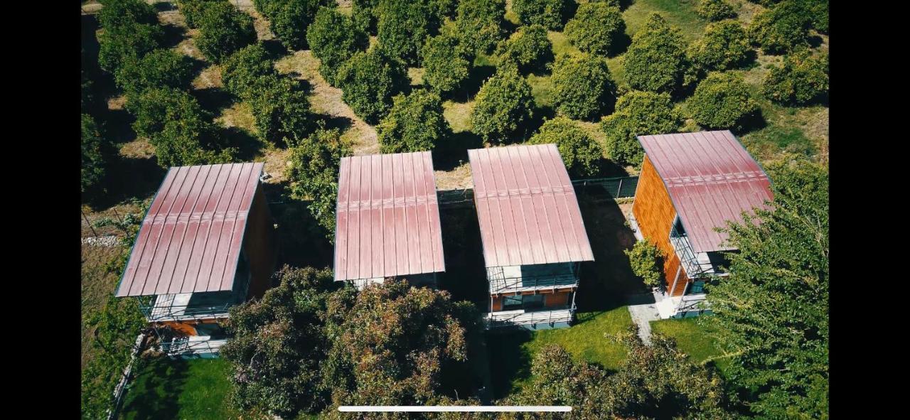 Avohomes * Fethiye